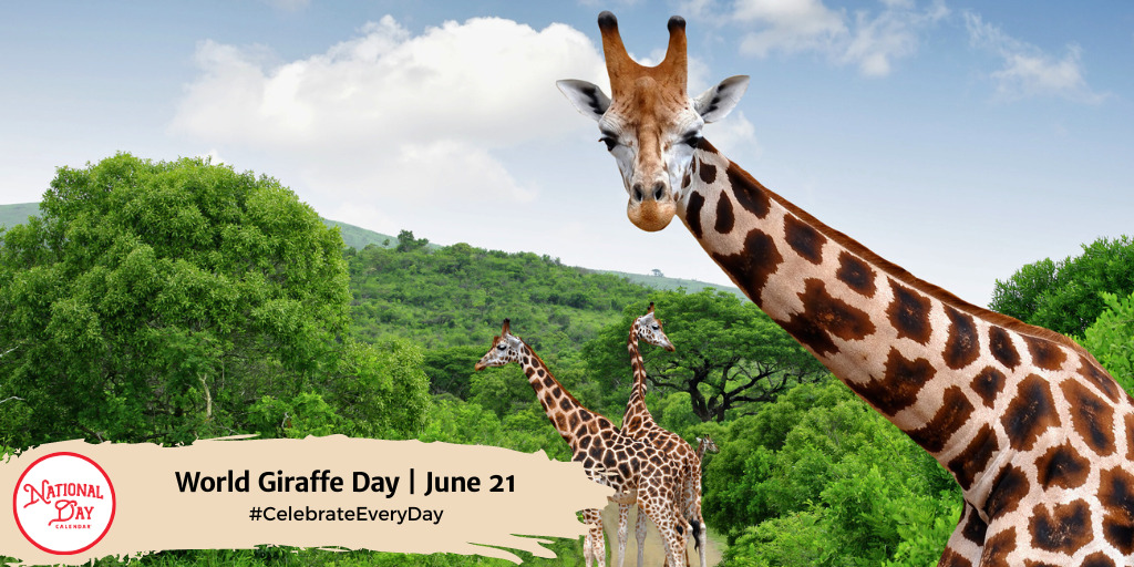 World Giraffe Day | June 21