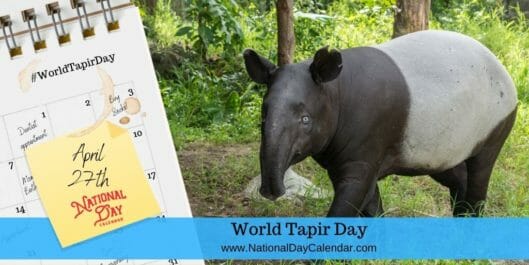World Tapir Day - April 27