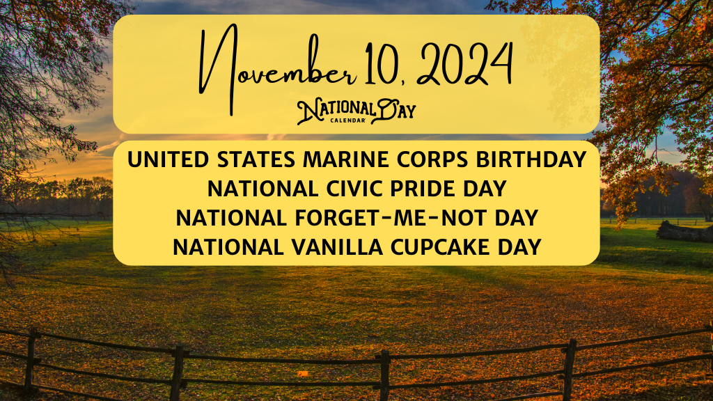 November 10, 2024