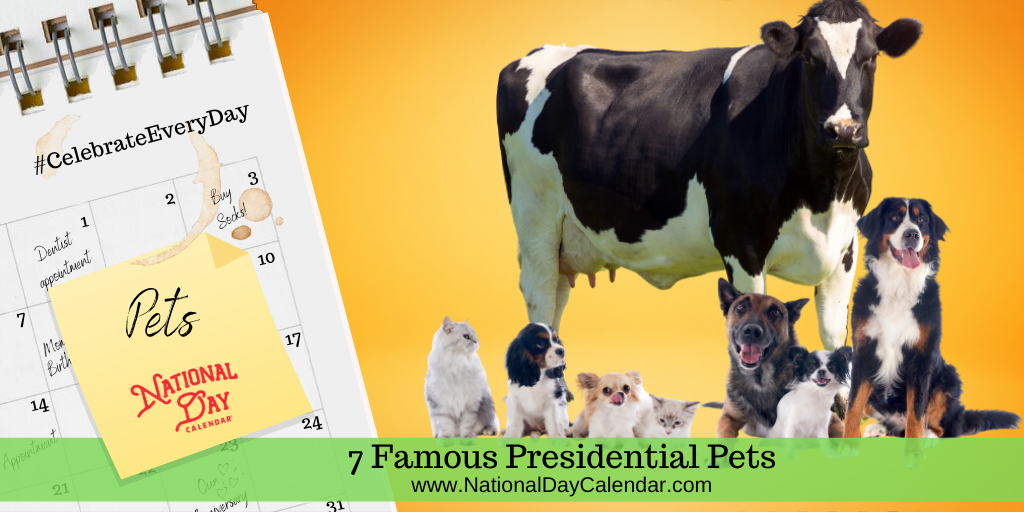 7 Famous Presidential Pets