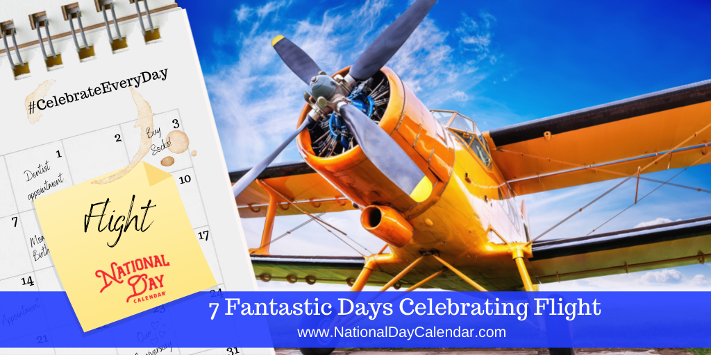 7 Fantastic Days Celebrating Flight